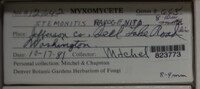 Image Associated With the Occurence